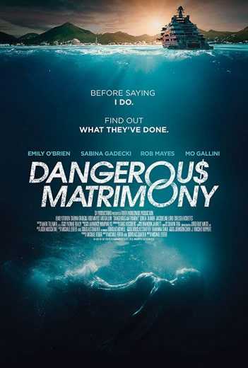 مشاهدة فيلم Dangerous Matrimony 2018 مترجم (2018)