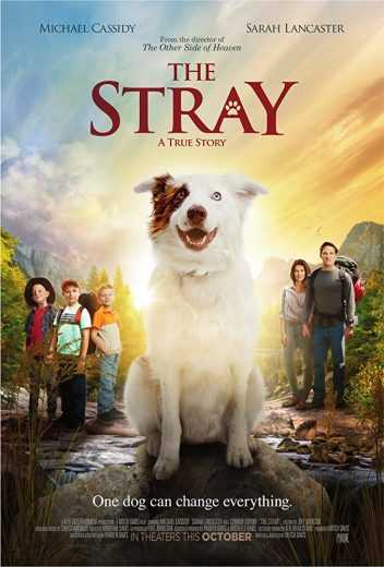 مشاهدة فيلم The Stray 2017 مترجم (2017)