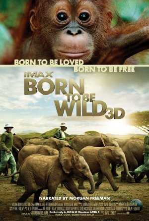 مشاهدة فيلم Born to Be Wild 2011 مترجم (2011)