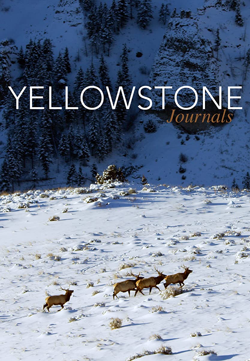 مشاهدة مسلسل Yellowstone موسم 2 حلقة 3 (2019)