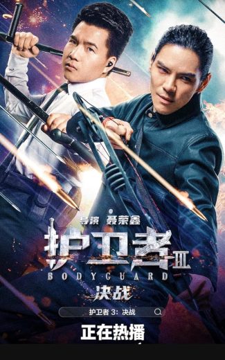 Bodyguard 3 (2025)
