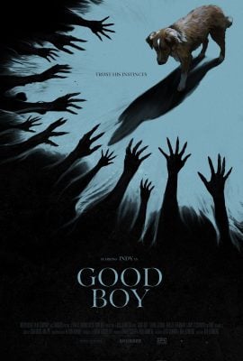 مشاهدة فيلم Good Boy 2025 مترجم
