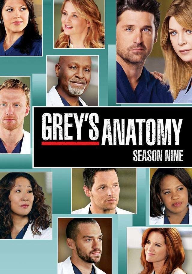مشاهدة مسلسل Grey Anatomy موسم 9 حلقة 15